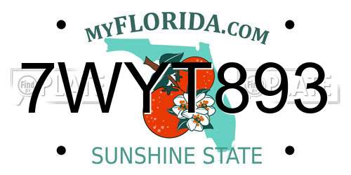 7WYT893 Florida License Plate