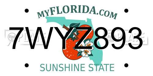 7WYZ893 Florida License Plate