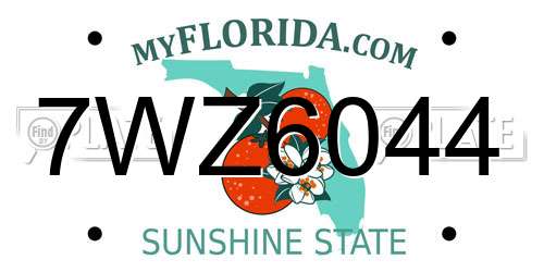 7WZ6044 Florida License Plate