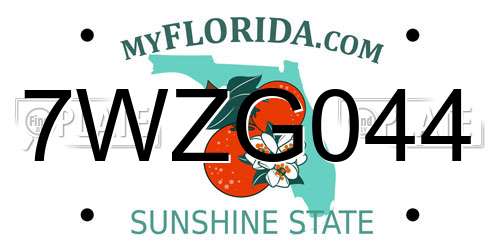7WZG044 Florida License Plate