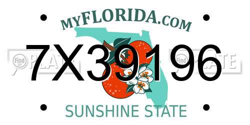 7X39196 Florida License Plate