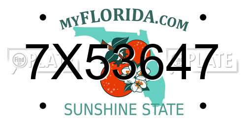 7X53647 Florida License Plate