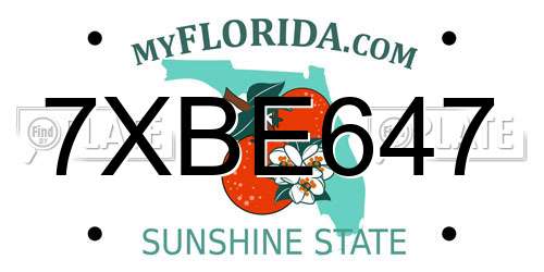 7XBE647 Florida License Plate