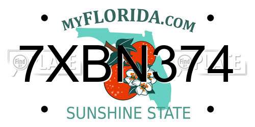 7XBN374 Florida License Plate