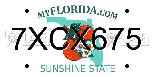 7XCX675 Florida License Plate