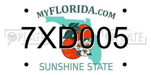7XD005 Florida License Plate