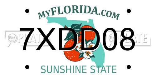 7XDD08 Florida License Plate