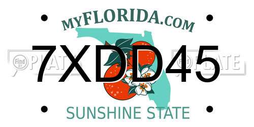 7XDD45 Florida License Plate