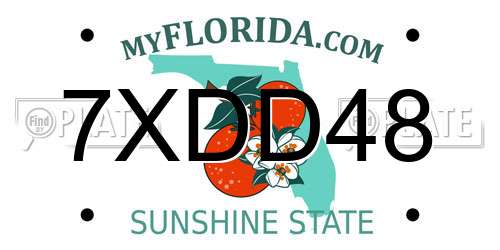 7XDD48 Florida License Plate