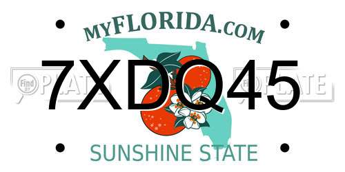 7XDQ45 Florida License Plate