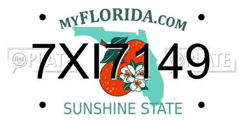 7XI7149 Florida License Plate