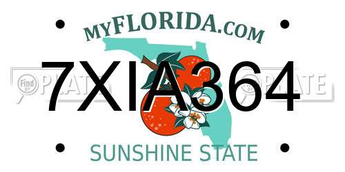 7XIA364 Florida License Plate