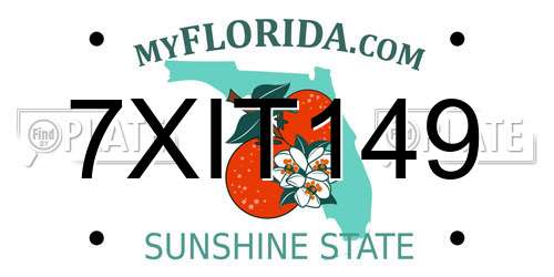 7XIT149 Florida License Plate