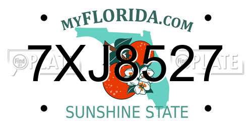 7XJ8527 Florida License Plate