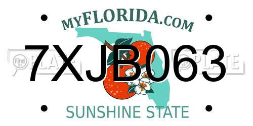 7XJB063 Florida License Plate