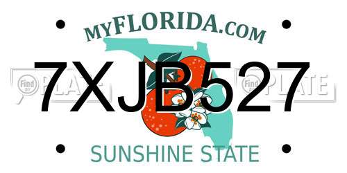 7XJB527 Florida License Plate