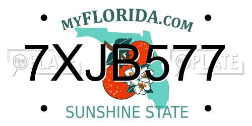 7XJB577 Florida License Plate