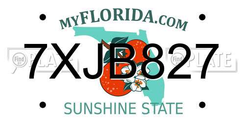 7XJB827 Florida License Plate