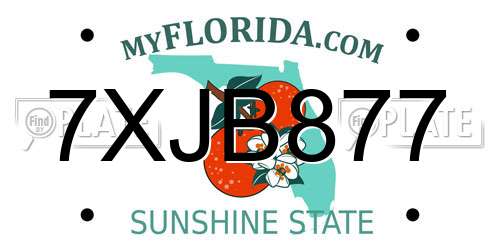 7XJB877 Florida License Plate
