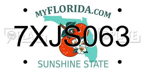 7XJS063 Florida License Plate