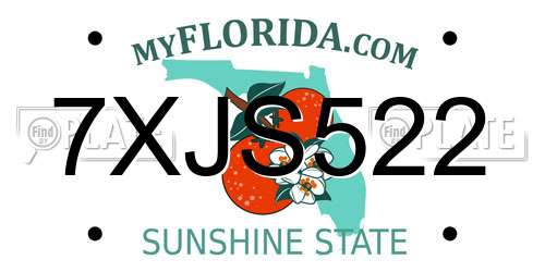 7XJS522 Florida License Plate