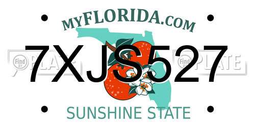 7XJS527 Florida License Plate
