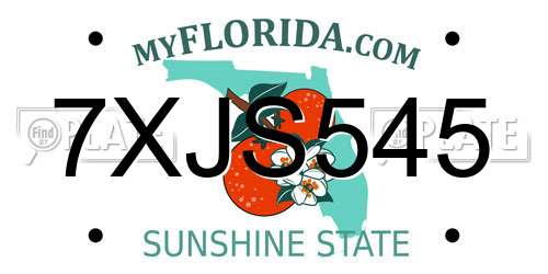 7XJS545 Florida License Plate