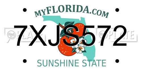 7XJS572 Florida License Plate