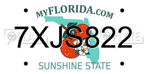 7XJS822 Florida License Plate