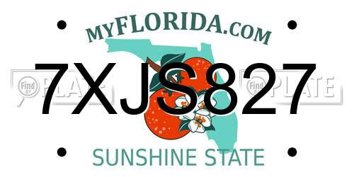 7XJS827 Florida License Plate