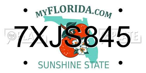 7XJS845 Florida License Plate
