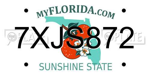 7XJS872 Florida License Plate