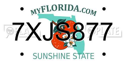 7XJS877 Florida License Plate