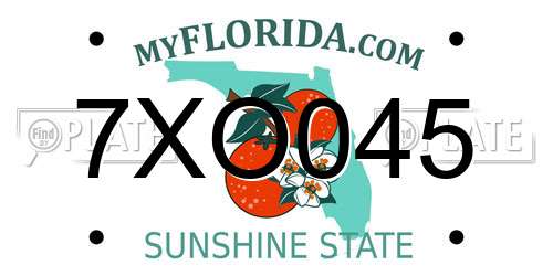7XO045 Florida License Plate