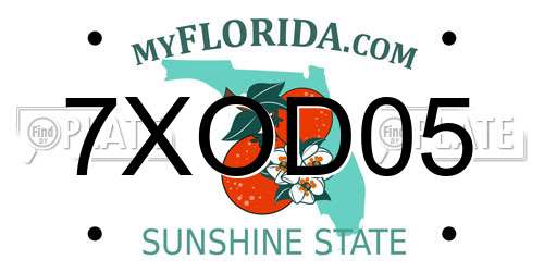 7XOD05 Florida License Plate
