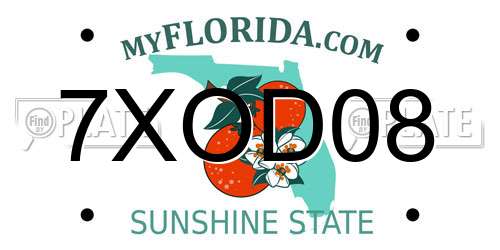 7XOD08 Florida License Plate