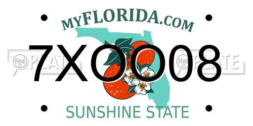7XOO08 Florida License Plate