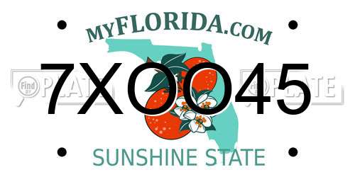 7XOO45 Florida License Plate