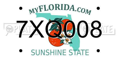 7XQ008 Florida License Plate