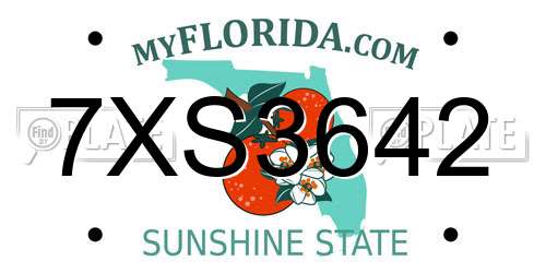 7XS3642 Florida License Plate