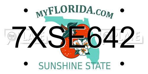 7XSE642 Florida License Plate