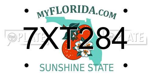 7XT284 Florida License Plate