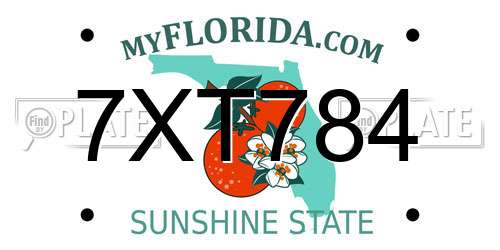 7XT784 Florida License Plate
