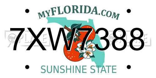 7XW7388 Florida License Plate
