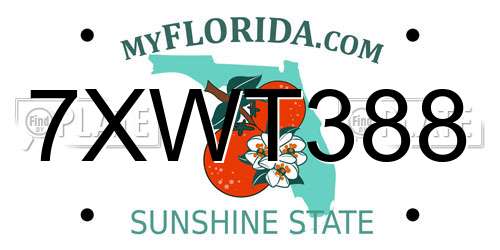 7XWT388 Florida License Plate