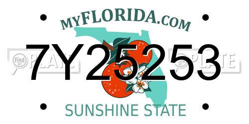 7Y25253 Florida License Plate