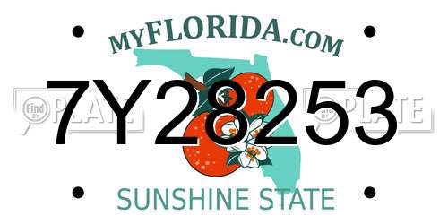 7Y28253 Florida License Plate