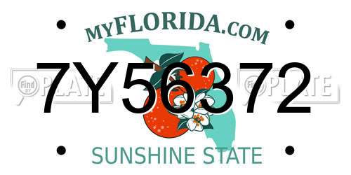 7Y56372 Florida License Plate