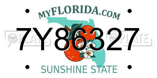 7Y86327 Florida License Plate