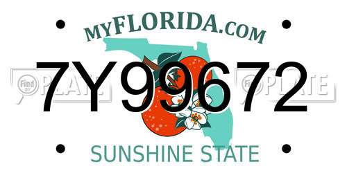 7Y99672 Florida License Plate